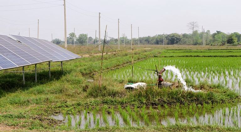 सिंचाईका लागि मोटर राति ९ बजेपछि मात्र चलाउन विद्युत प्राधिकरणको आग्रह