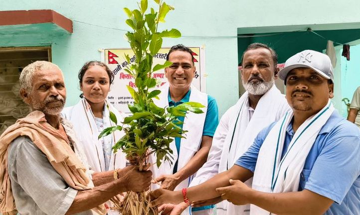 महोत्तरीको मटिहानी नगरपालिकाले किसानलाई अम्बा र लिचीको विरुवा वितरण सुरु