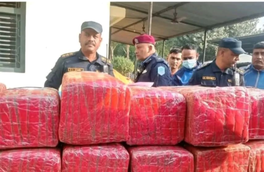 पर्सामा १७६ किलो लागूऔषध गाँजासहित एकजना पक्राउ 