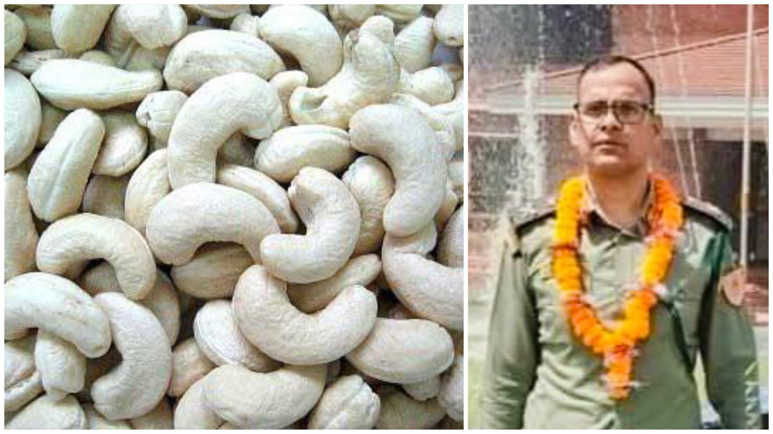 सशस्त्र प्रहरीका डिएसपी शर्माको सेटिङ्गमा जटहीबाट काजु तस्करी, एक सातामै २४०० किलो अवैद्य काजु बरामद