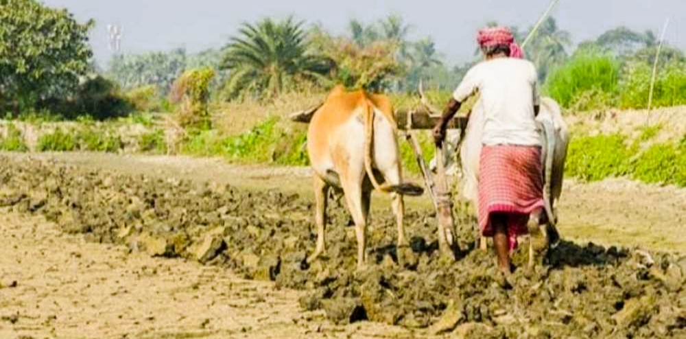 मधेशमा खेत–खेतमा पानीको नारा नारामै सीमित : करोडौंका सिँचाइ संरचना अलपत्र, किसान अझै आकाशे पानीकै भरमा