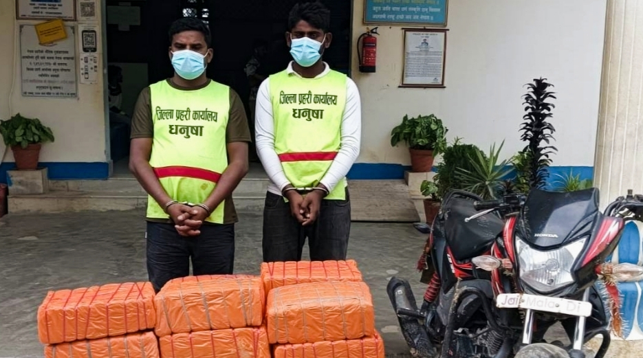 धनुषामा १ सय ३७ केजी गाँजासहित दुई जना पक्राउ