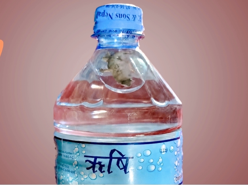 Websoft IT Nepal Pvt. Ltd.